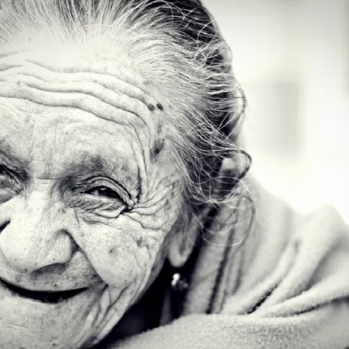 Can Altered Blood Flow Slow Aging?
