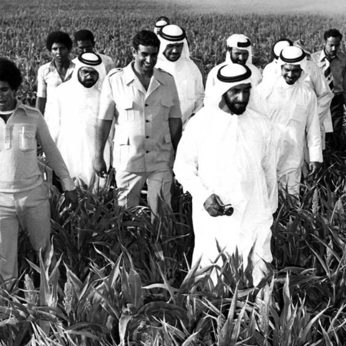 Cultivating the Desert: The UAE’s Vision for the Future of Farming